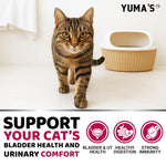 Load image into Gallery viewer, Cat Urinary Tract Infection Treatment Multivitamin Vitamins and Supplements