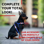 Load image into Gallery viewer, Nylon Dog Leash for Small Dogs and Medium Dogs 4 Ft x 3/5 inch Wide NASA Color