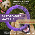 Load image into Gallery viewer, Dog Ring Fetch Toy Small Dogs Mini Size 2 Rings Purple