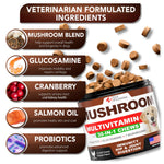 Load image into Gallery viewer, (2 Pack) Mushroom for Dogs 340 Chews Turkey Tail Mushroom Supplement for Dogs Lions Mane Reishi Immunity Support Multivitamin Vitamins Joint Health Energy Gut Skin Made in USA