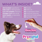 Load image into Gallery viewer, Dog Prenatal Vitamins 120 Soft Chews Folic Acid Zinc B-Complex DHA & EPA