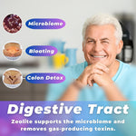 Load image into Gallery viewer, Zeolite Detox Powder 1 lb Clinoptilolite Zeolite Powder Sorbolit 1 2 µm Zeolite