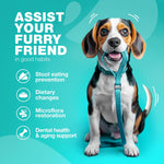 Load image into Gallery viewer, No Poo Chews for Dogs Coprophagia Deterrent for Dogs Forbid for Dogs Stool Eating Deterrent Dog Probiotics for Digestive Health Digestive Gut & Immune Health Treats No Poop Eating for Dogs