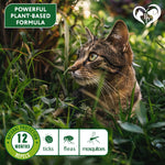 Load image into Gallery viewer, Flea & Tick Collar for Cats 12-Month Protection Essential Oil 1 Count