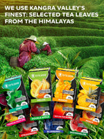 Load image into Gallery viewer, Hookah Flavors Fruit Set 3.5 ounce 100 Gram Fruit Set Flavor Herbal Hookah