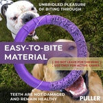 Load image into Gallery viewer, Purple Puller Outdoor Dog Ring Toys Dog Fetch Toy for Large Dogs Maxi Size 1 Pc
