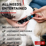 Load image into Gallery viewer, Black Waterproof Dog Collar Adjustable for Medium Dogs 1016 inch Neck