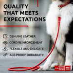 Load image into Gallery viewer, Rolled Leather Dog Leash 4 ft x 0.5 in All Sizes Red