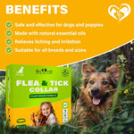 Load image into Gallery viewer, Flea & Tick Collar for Dogs 6-Month Protection Essential Oil Repellent 1 Pack