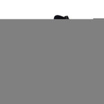Load image into Gallery viewer, Trunk Organizer with Covering Net Attachable Non Slip Pads and Stainless Hooks Two Shades of Gray