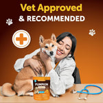 Load image into Gallery viewer, Pumpkin Powder for Dogs Digestive Support 16 OZ Fiber Supplement for