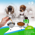 Load image into Gallery viewer, Cat & Dog Hemp Oil Drops Pet Calming Anti Anxiety & Herbal Stress Relief Natural Organic Liquid Medication for Arthritis & Hip Joint Pain Releaf Dog Sedative Supplements Made in USA
