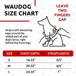 Load image into Gallery viewer, WAUDOG Waterproof Dog Harness Adjustable Dog Harness for Large Dogs Small and Medium Dogs Heavy Duty Dog Harness with Durable Metal Clasp and QR Dog Tag Boy & Girl Dog Harness Orange (24 35in)