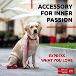 Load image into Gallery viewer, Nylon Dog Leash for Small Dogs and Medium Dogs 4 Ft Strong Dog Leash for Large Dogs Heavy Duty Dog Leashes for Large Breed Dogs & Puppy Leash for Small Boy & Girl Dogs