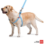 Load image into Gallery viewer, Blue Cotton Dog Harness Eco Friendly Dog Harness for Small Dogs S Size