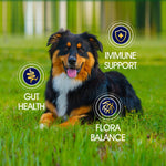 Load image into Gallery viewer, Probiotics for Dogs Support Good Health Itchy Skin Allergies Immunity 6 Oz