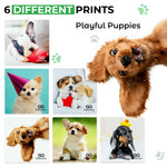 Load image into Gallery viewer, Microfiber Cleaning Cloth for Glasses Lens Camera Phone Screen 6 Pcs Very Soft