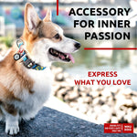 Load image into Gallery viewer, Nylon Dog Collar Adjustable Dog Collar for Large Dogs Small & Medium Dogs Breakaway Puppy Collars for Large Breed Dogs Boy & Girl Dog Collars with Durable Plastic Buckle and QR Dog Tag