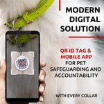 Load image into Gallery viewer, Ultra Soft Rolled Leather Dog Collar Neck 8 - 10 in Green Soft Padded Dog Collar