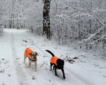 Load image into Gallery viewer, Reflective Dog Vest Hi-Vis L Size 35.75 in Chest x 26.75 in Neck Orange