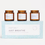 Load image into Gallery viewer, 3 pcs Aromatherapy Scented Candles Just Breathe Candles Gift Set for Women Hand
