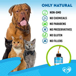 Load image into Gallery viewer, Kennel Cough Supplement for Dogs & Cats Cold & Cough Relief