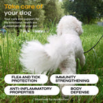 Load image into Gallery viewer, Flea and Tick Prevention for Dogs Dog Flea Treatment Chews Immune Support Flea and Tick Chewables for Dogs Dog Flea & Tick Control Supplement All Breeds & Ages Vet Formulated Soft Treats