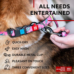Load image into Gallery viewer, Nylon Dog Leash for Small Dogs and Medium Dogs 4 Ft Strong Dog Leash for Large Dogs Heavy Duty Dog Leashes for Large Breed Dogs & Puppy Leash for Small Boy & Girl Dogs