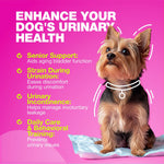Load image into Gallery viewer, Dog UTI Treatment Dog Cranberry Supplement for Bladder Kidney Health Urinary