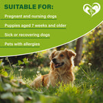 Load image into Gallery viewer, Flea & Tick Collar for Dogs 6-Month Protection Essential Oil Repellent 1 Pack