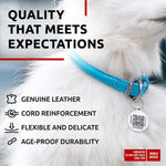 Load image into Gallery viewer, Rolled Leather Dog Collar Padded Small Dogs 8–10 in Neck Blue