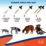 Load image into Gallery viewer, Dog Yeast & Anti-Itch Supplement Drops Skin Ears & Allergy Relief