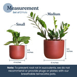 Load image into Gallery viewer, 4 Inch and 6 Inch Terracotta Pot Set of 2 Ceramic Planter Clay Pots for Indoor Plants Succulent Planter with Drainage Hole and Mesh Net DIY Craft Garden & Home Decor
