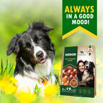 Load image into Gallery viewer, Dog Rawhide Treats with Duck and Chicken Human Grade Meat All Natural 10.6 oz