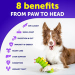 Load image into Gallery viewer, Dog Multivitamin Chewable with Glucosamine 20 in 1 Dog Vitamins and