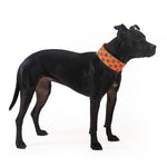 Load image into Gallery viewer, Reflective Dog Collar XL Size Adjustable Blaze Orange