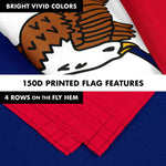 Load image into Gallery viewer, Combo Pack 6 Ft Tangle Free Spinning Flagpole and Iowa IA State Flag 3x5 ft