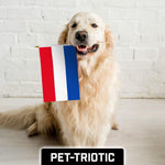 Load image into Gallery viewer, G128 24 Pack Handheld Netherlands Dutch Stick Flags 12x18 In Printed 150D Polyester, Country Flag, Solid Wooden Stick, Spear Gold Tip
