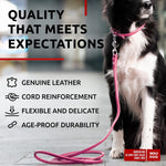 Load image into Gallery viewer, Rolled Leather Dog Leash 4Ft * 0.4 in for Small Medium and Large Dogs Heavy Duty Leather Puppy Leash for Outdoor Walking Running Training Strong Dog Leashes for Large Breed Dogs (Pink)