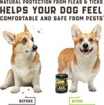 Load image into Gallery viewer, Flea and Tick Prevention Chewable for Dogs No Collars, No Mess Easy Help with Flea and Tick for Dogs American Quality for All Breeds and Ages DuckFlavored Treats 180 Flea Chews for Dogs