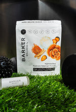 Load image into Gallery viewer, Nighttime Mushroom Adaptogen Gummies Sugar Free Vegan Blend with Reishi