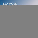 Load image into Gallery viewer, Powerful 20000mg Blend of Irish Sea Moss 60 Capsules 30 Day Supply Black Seed