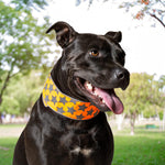 Load image into Gallery viewer, Reflective Dog Collar XL Size Adjustable Blaze Orange