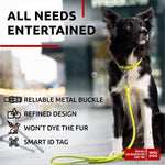 Load image into Gallery viewer, Rolled Leather Dog Collar Padded All Sizes 15 - 19 in Neck Green