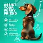 Load image into Gallery viewer, Coprophagia Deterrent No Poo Chews for Dogs Dog Probiotics for Digestive Health