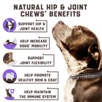 Load image into Gallery viewer, Glucosamine for Dogs Functional Dog Joint Supplement with Chondroitin Msm Hemp