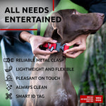 Load image into Gallery viewer, Red Waterproof Dog Collar 12 - 19 inch x 1 inch Wide Metal Buckle Red Collar