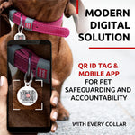 Load image into Gallery viewer, Pink Long Lasting Leather Dog Collar for Small Dogs 1114 inch Neck Metal Buckle