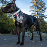 Load image into Gallery viewer, Dog Christmas Bandana 2 Pack – Reflective Holiday Ugly Sweater Dinosaur Print & Classic Xmas Design – Adjustable Pet Collar Bandanas for Large Medium & Small Breeds Dog or Cat Accessory Gift