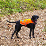 Load image into Gallery viewer, Reflective Dog Vest Hi-Vis L Size 35.75 in Chest x 26.75 in Neck Orange